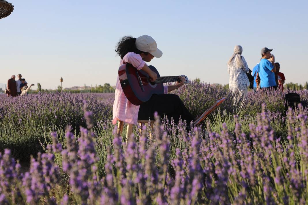 Karatay’ın mor denizi tüm dünyayı peşinden sürükledi! Görmeyen kalmadı 18